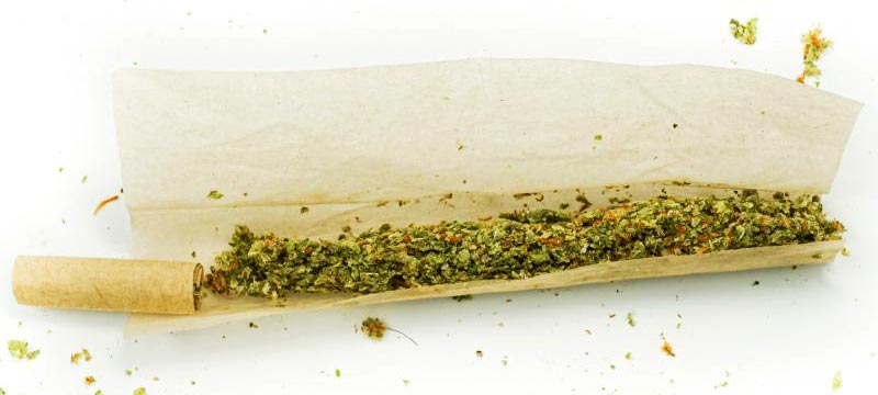 unrolled-joint weed inside of a rolling paper with a filter | unrolled joint