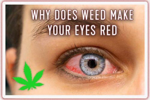why-does-weed-make-your-eyes-red