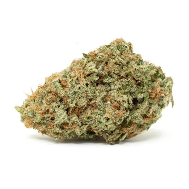 Jilly Bean - Image 1