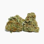 watermelon-kush-cannabis-buds