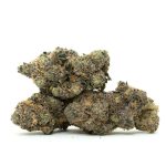 Black Mamba - Image 2