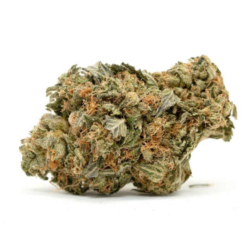 Holy Grail Strain