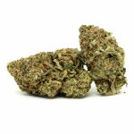 romulan-strain