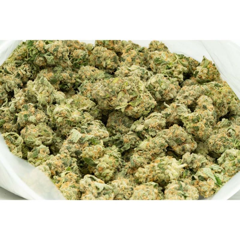 Alaskan-Thunderfuck-Strain