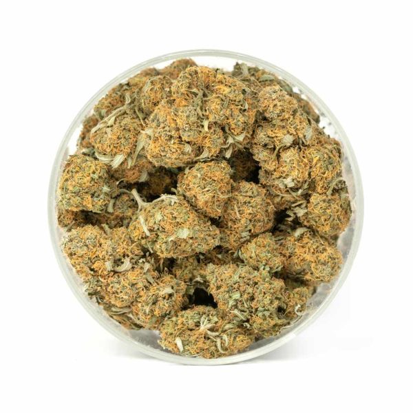 tangerine-sunrise buds in a jar