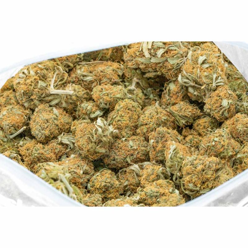 tangerine-sunrise-marijuana-buds