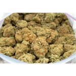 Buddha-Haze-Marijuana-Buds