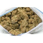 Purple-Voodoo-marijuana-buds