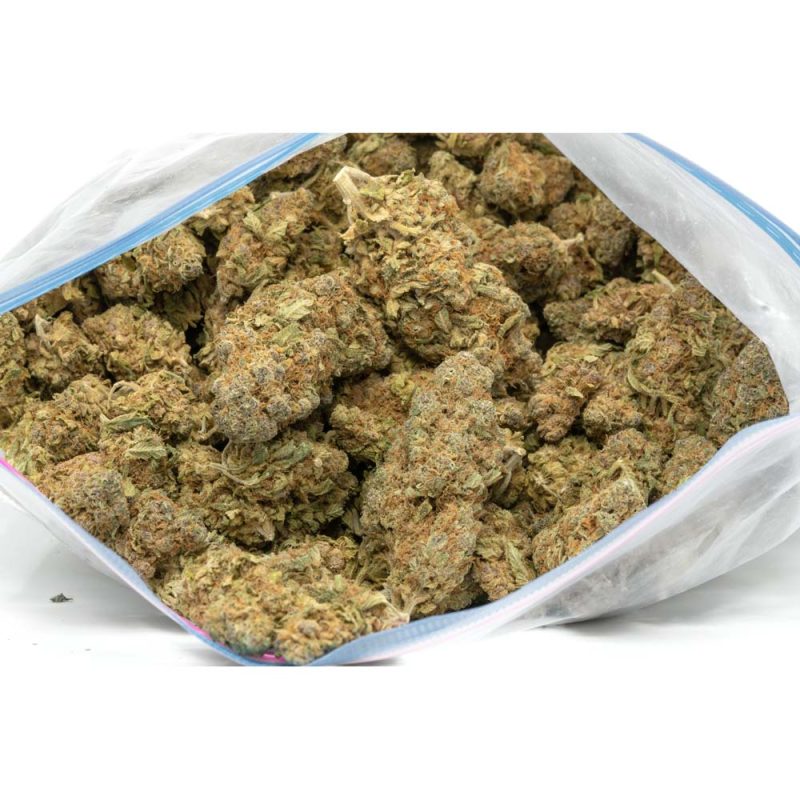 Purple-Voodoo-marijuana-buds