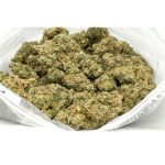 Cotton-Candy-Kush-Marijuana-Buds