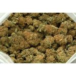 Lemon-Cake-Marijuana-Buds-1
