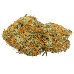 Vanilla Gorilla Strain