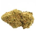 Gorilla-Bomb
