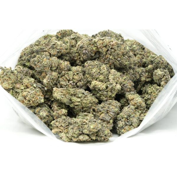 Blueberry-Cheesecake-Marijuana-Buds