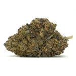 Black-Cherry-Punch-Weed Strain