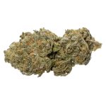 Aloha Berry Strain