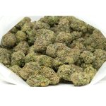 Grandpa-Breath-Marijuana