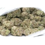 Real Greasy-Pink-Marijuana-Buds