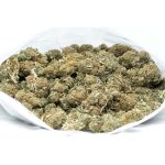 Seawarp-marijuana-strain