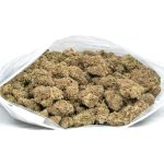 Stardawg-Marijuana-Weed