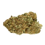 MONKEY GLUE STRAIN