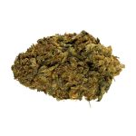El-muerte-strain