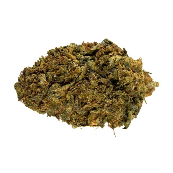 El-muerte-strain