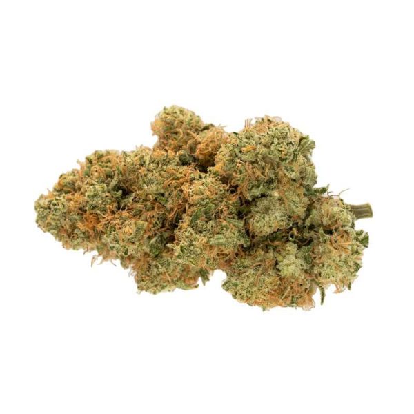 jack-frost-strain