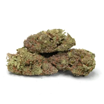 3 jager marijuana buds