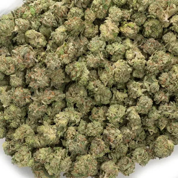 close-up-photo-of-aaaa-popcorn-weed-1