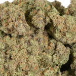 close-up-picture-pineapple-chunk-marijuana-buds