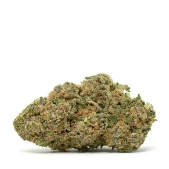 Blue Magoo Strain
