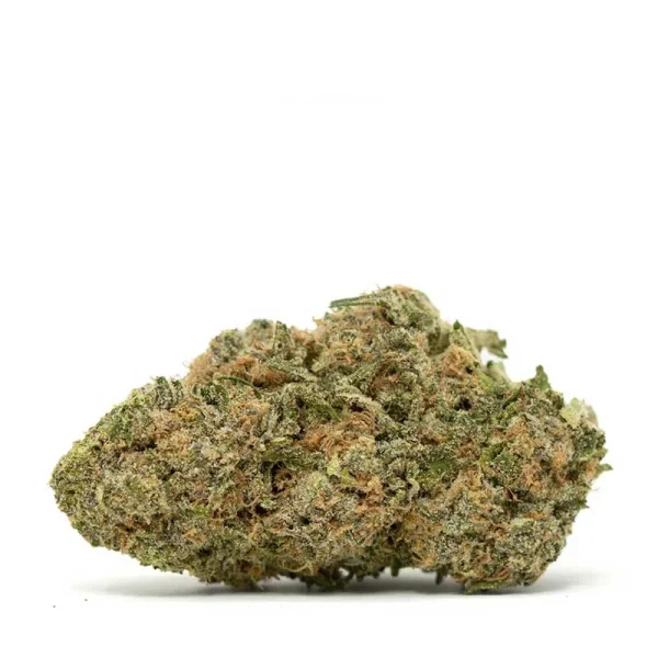 Blue Magoo Strain