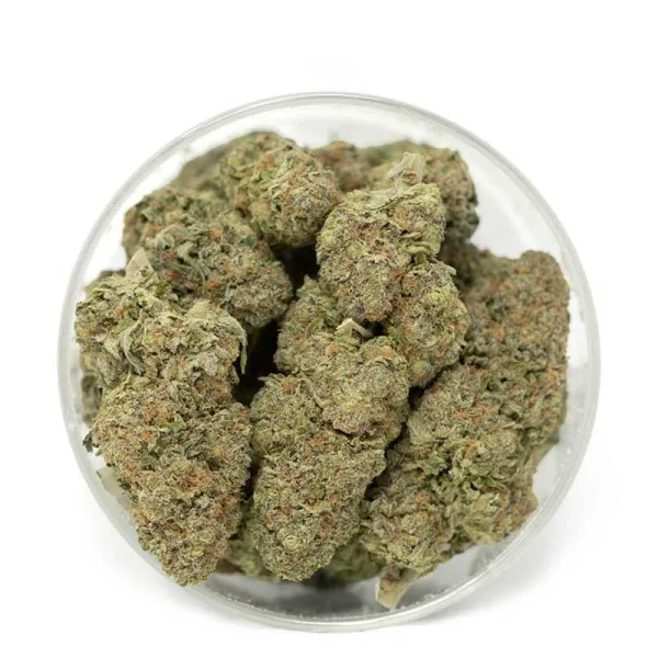 Bulk Blue Magoo