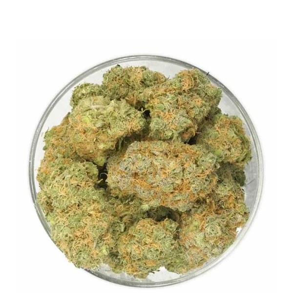 Bulk Pink Starburst