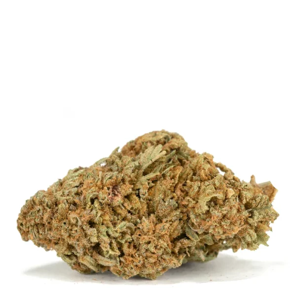 Citrus-Orchard strain