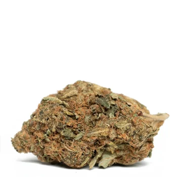 Green-Haze strain