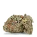 Ice-Wreck-Strain