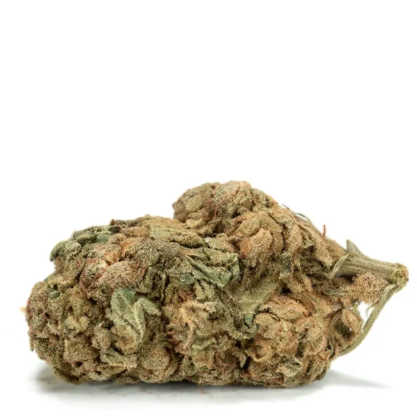 Kings-Kush-strain