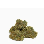 Kush Mints Strain
