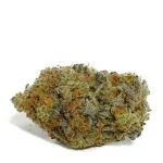 Kush Mints Strain