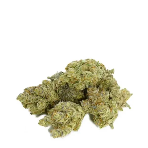 Lemon Pie Strain