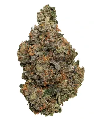 best-looking-weed-for-sale-in-canada