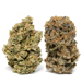 Craft Cannabis