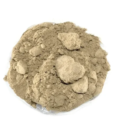 DB-Kief