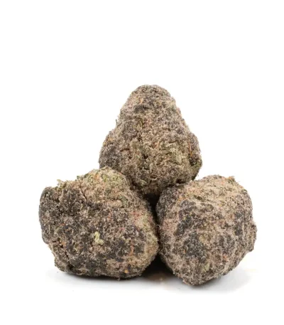 gary-payton-moonrocks