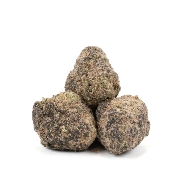 gary-payton-moonrocks