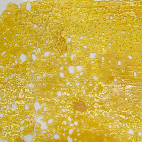 mimosa-shatter