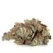Hybrid Strains