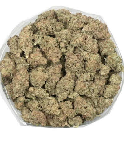 light green Mac 10 strain buds with purple leaves